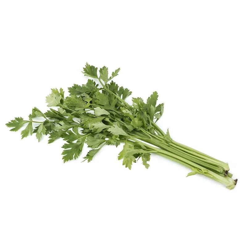 Dried Celery Flake